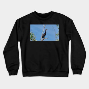 Double-crested Cormorant Perched On a Tree Branch Crewneck Sweatshirt